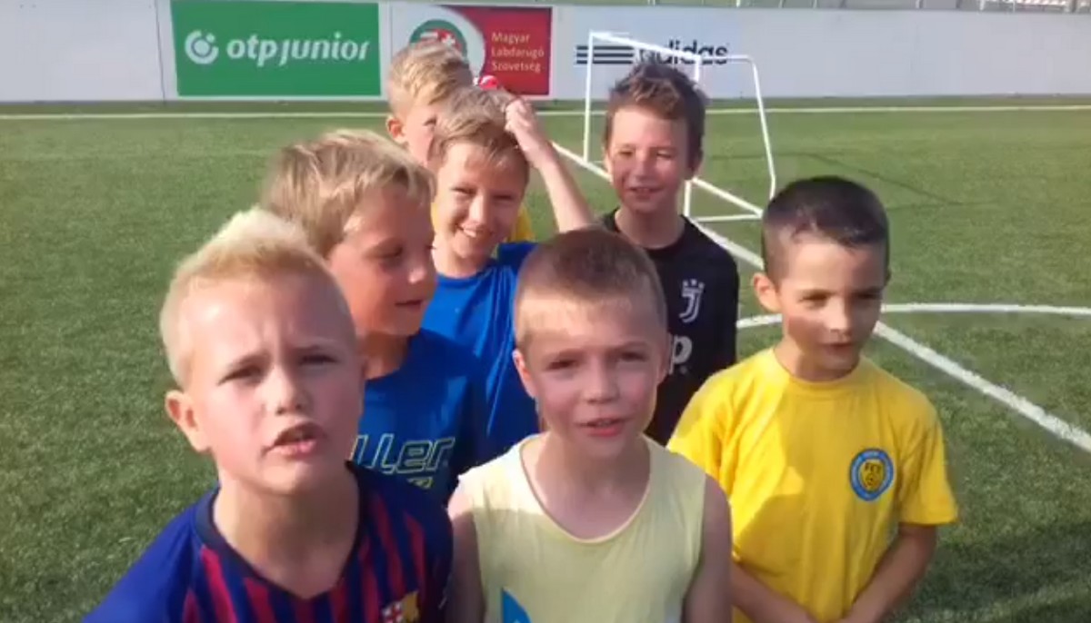 bozsik video 2019 másolata