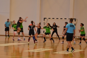 Bajnoki kézilabda mérkőzés