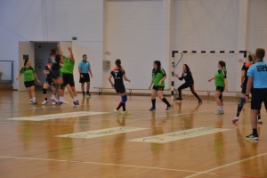 Női kézilabda bajnoki mérkőzés