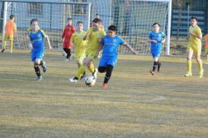 Bozsik Intézményi Program