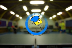 Asztalitenisz bajnoki mérkőzés